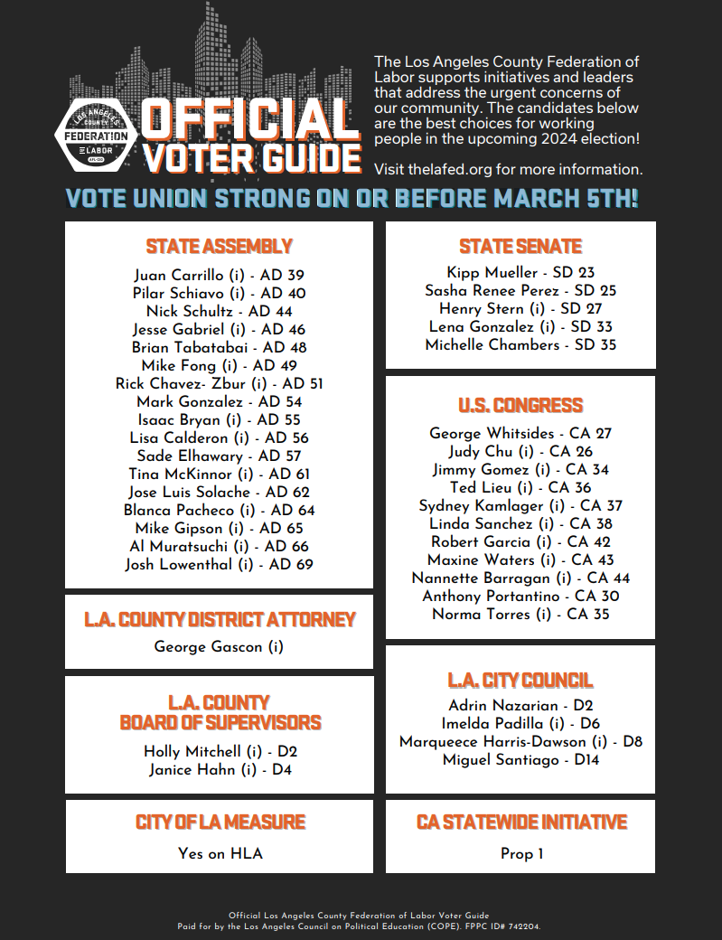 Voter Guide